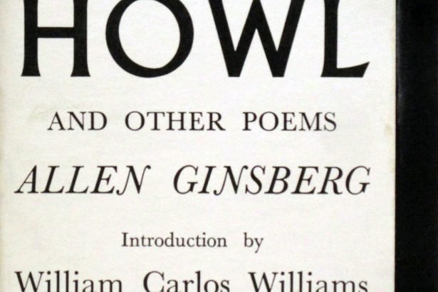 The Howl - Allen Ginsberg - sub.test